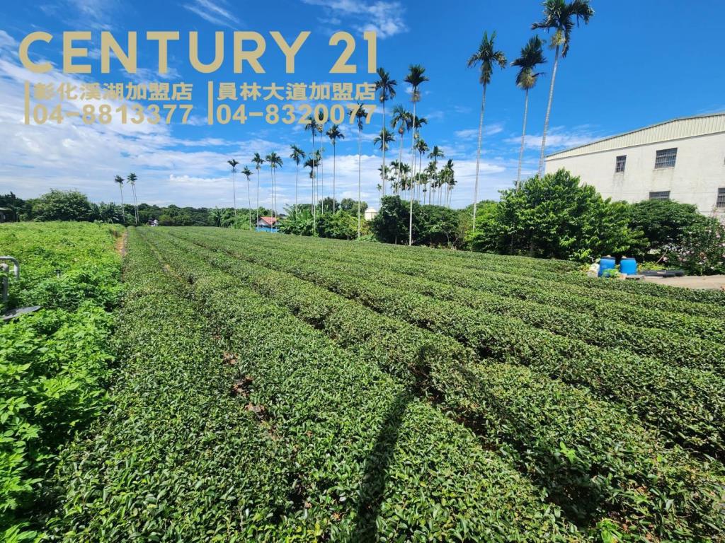 微熱山丘正139線農地