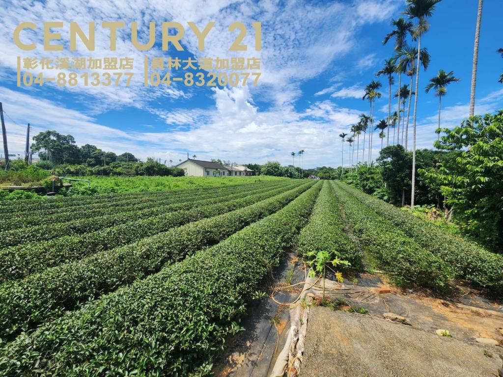 微熱山丘正139線農地