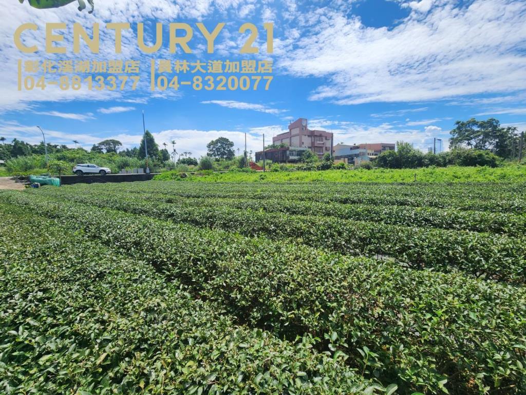 微熱山丘正139線農地