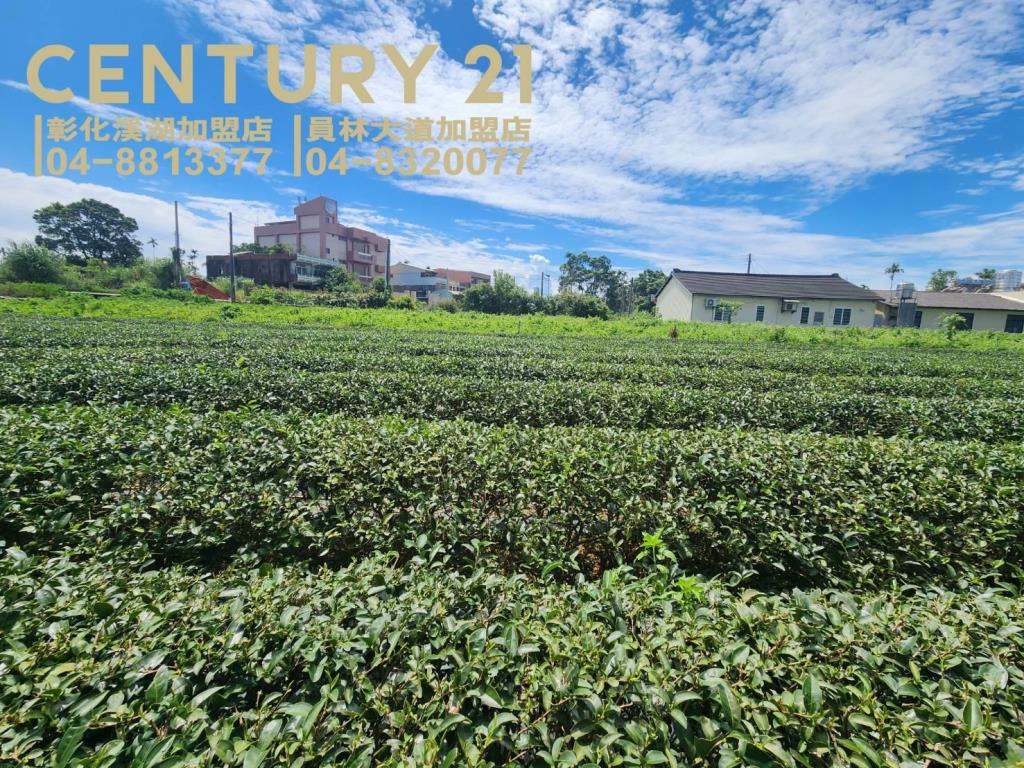 微熱山丘正139線農地