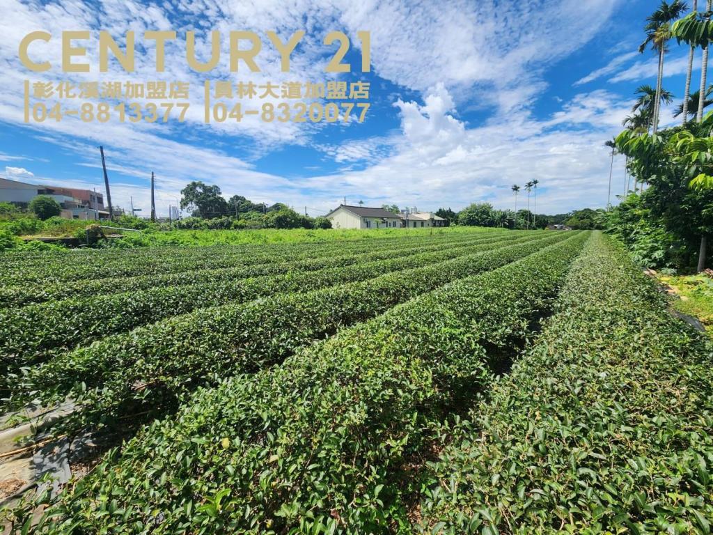 微熱山丘正139線農地