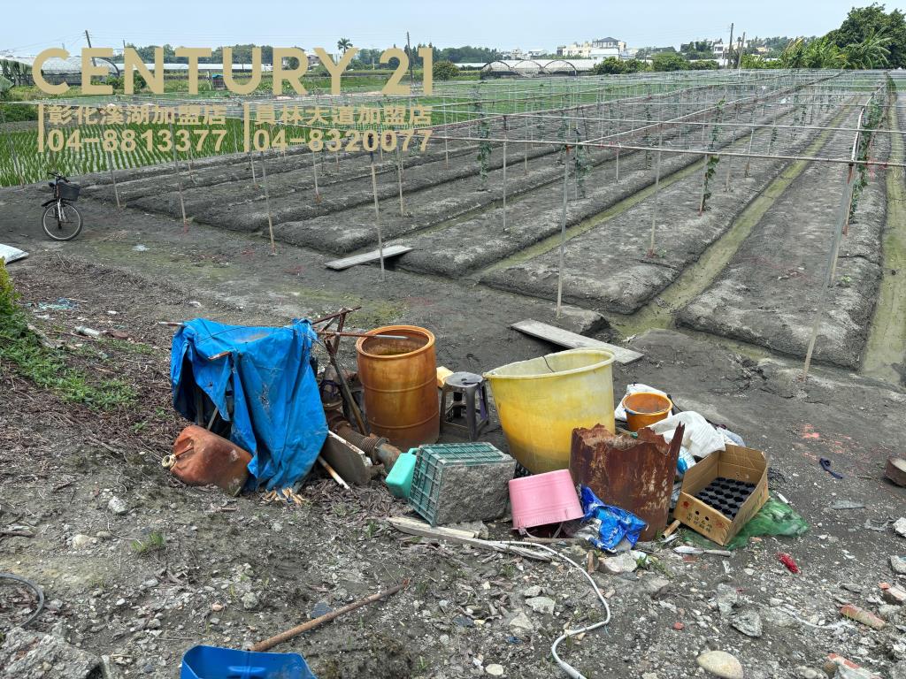 溪湖媽厝國小旁都計田