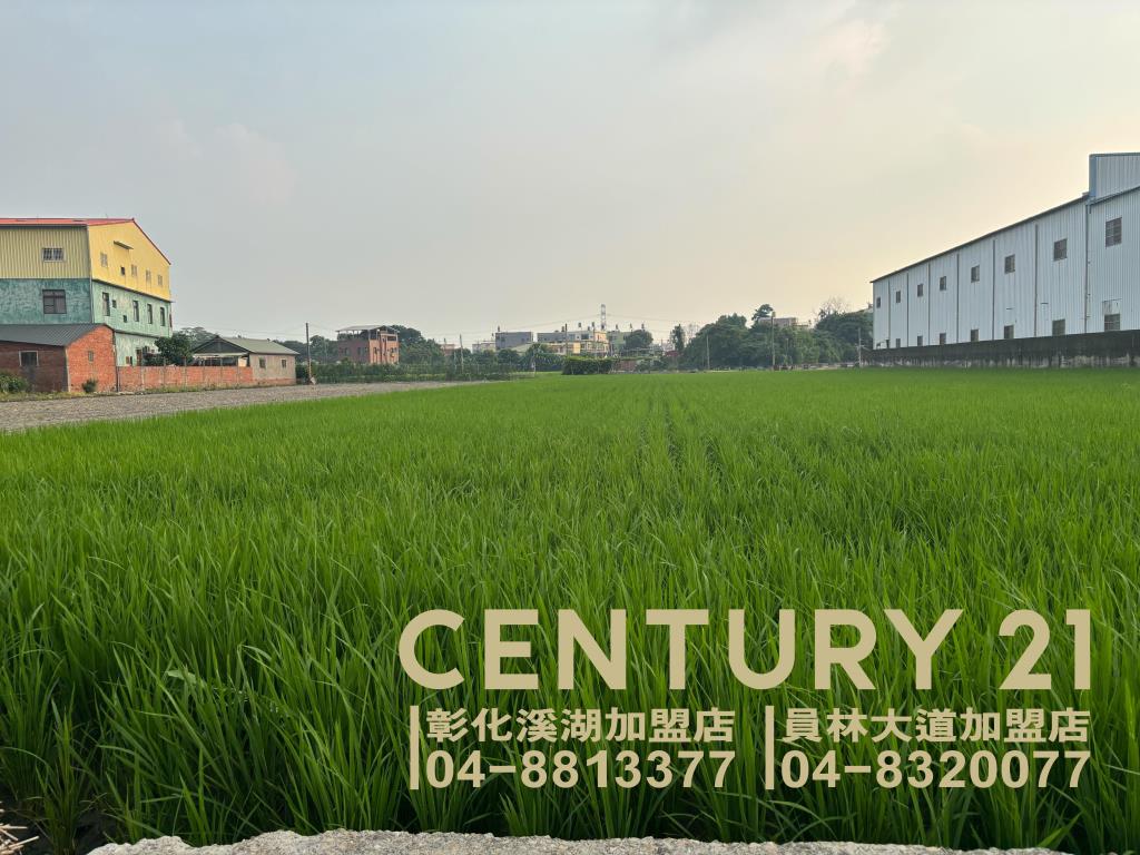 溪州潮洋國小旁美田