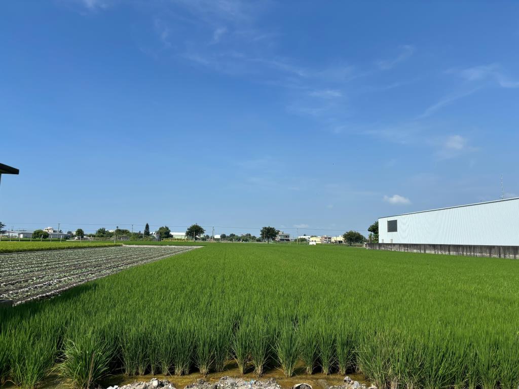 埔鹽成功一路農保田