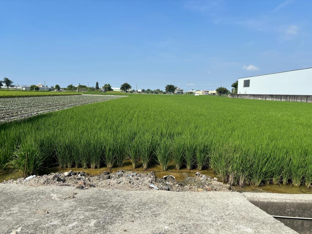 埔鹽成功一路農保田