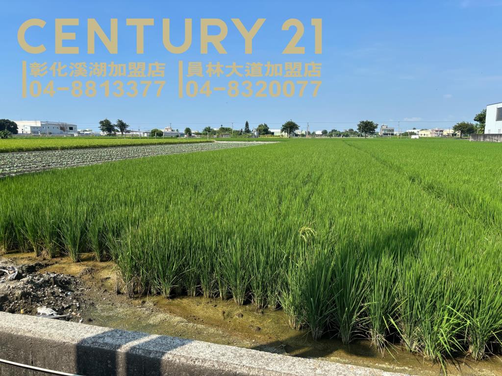 埔鹽成功一路農保田