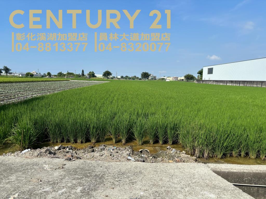 埔鹽成功一路農保田