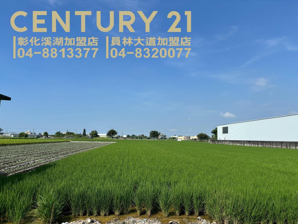 埔鹽成功一路農保田