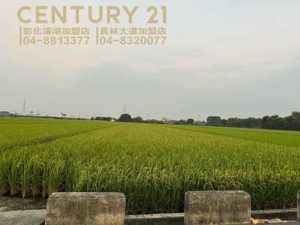 埤頭北斗交流道旁田地