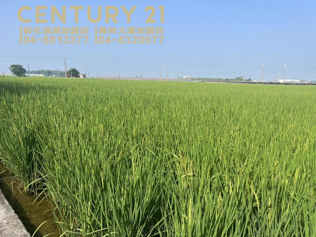 竹塘近溪林路美田