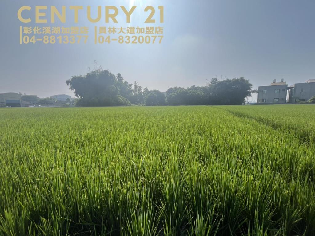 竹塘近溪林路美田