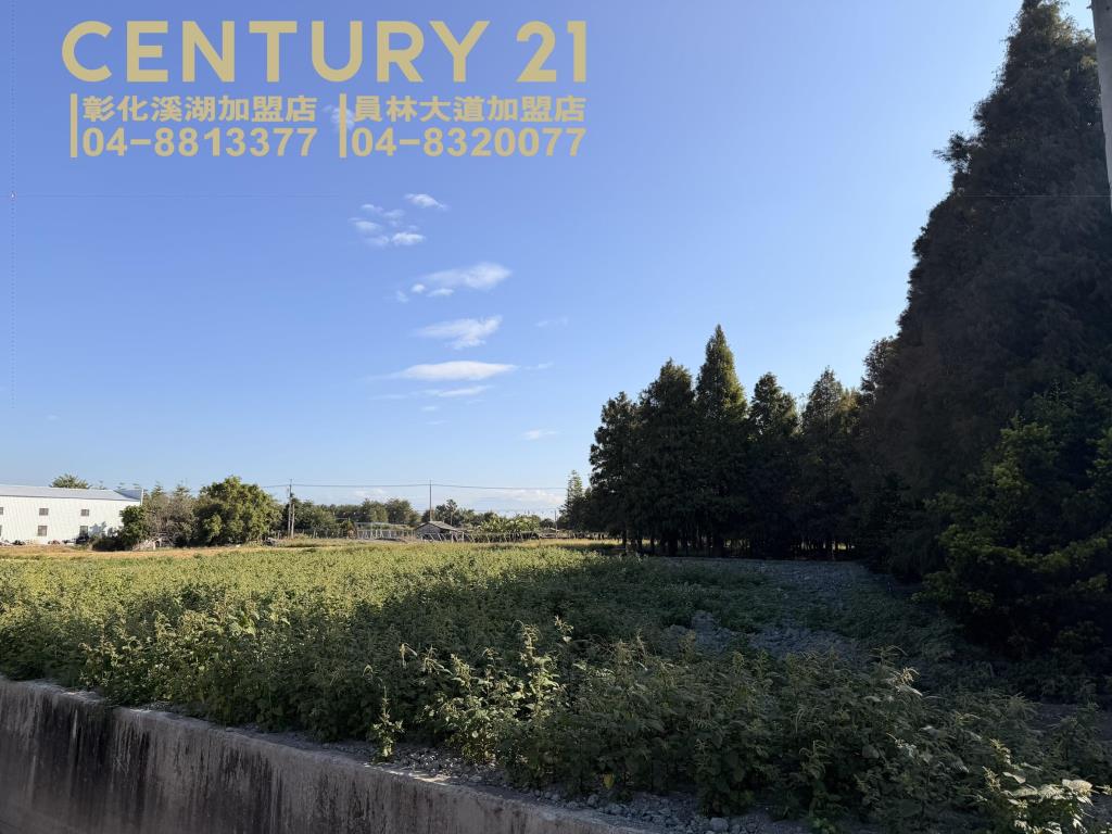 溪湖彰水路旁美田