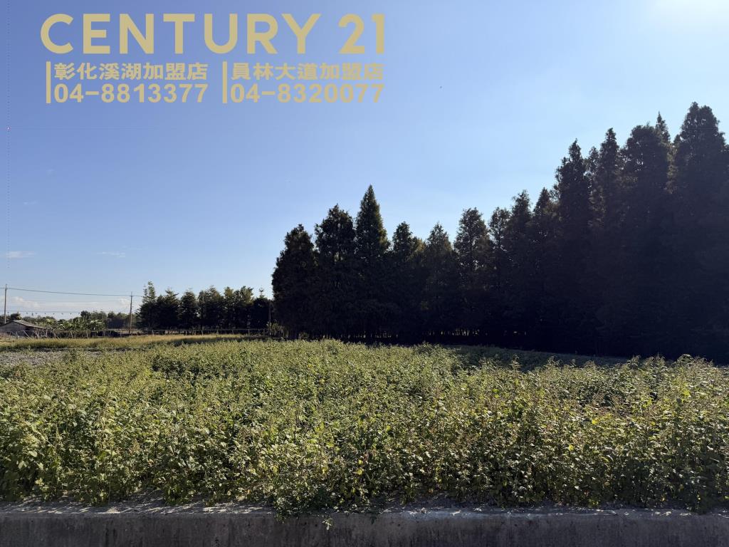 溪湖彰水路旁美田