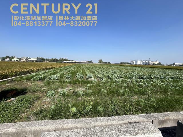 竹塘台19線河陽路旁田