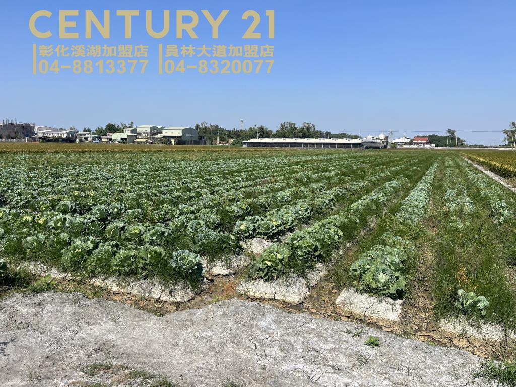 竹塘台19線河陽路旁田