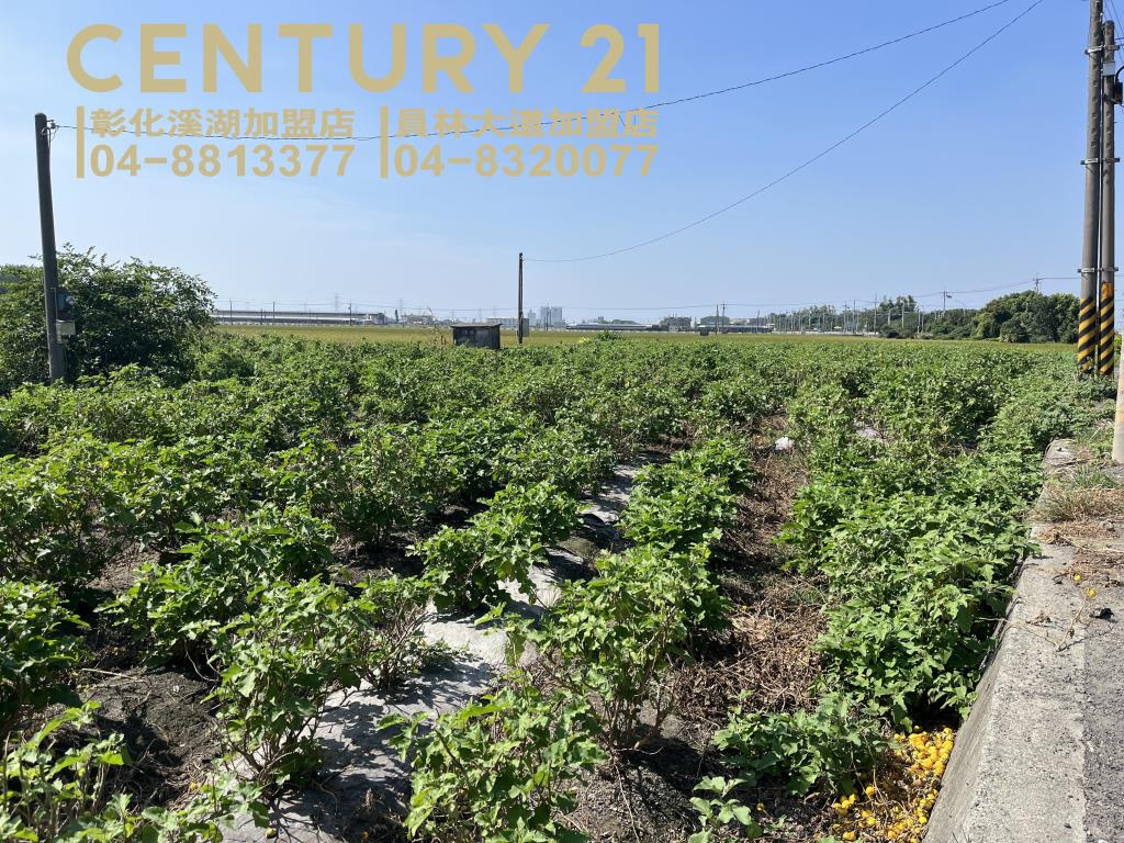 竹塘正土庫國小農保田