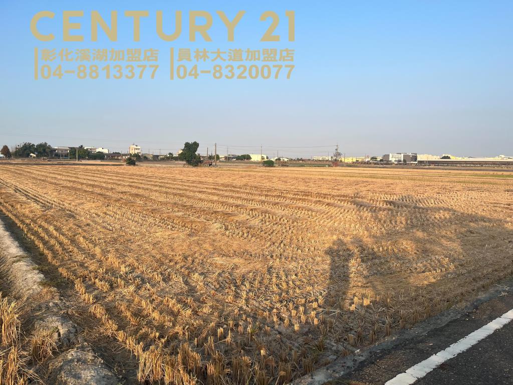 竹塘近市區大塊田