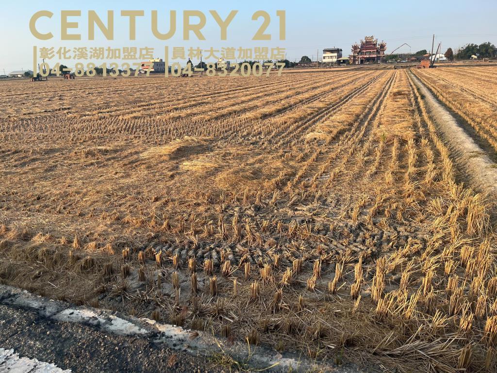 竹塘近市區大塊田