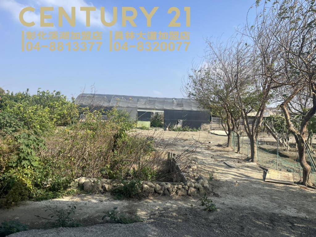 二林大永段朝南美田