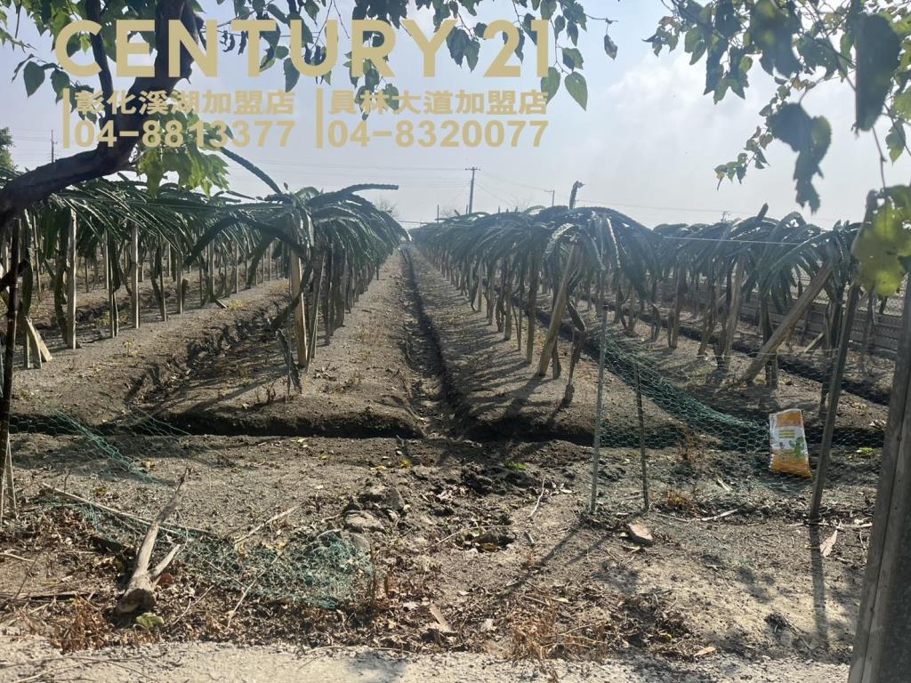 二林大永段朝南美田