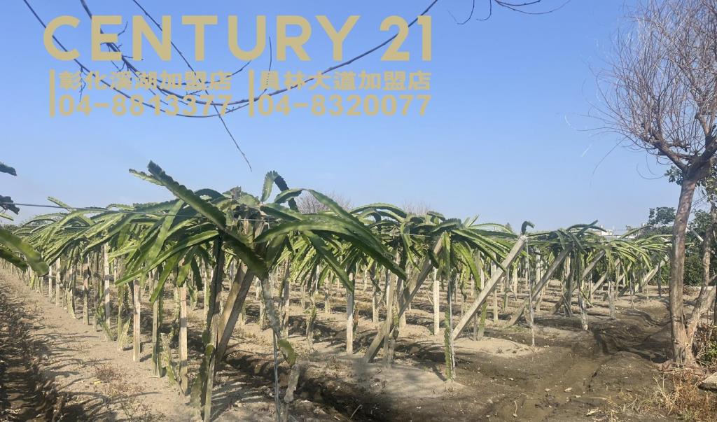 二林大永段朝南美田