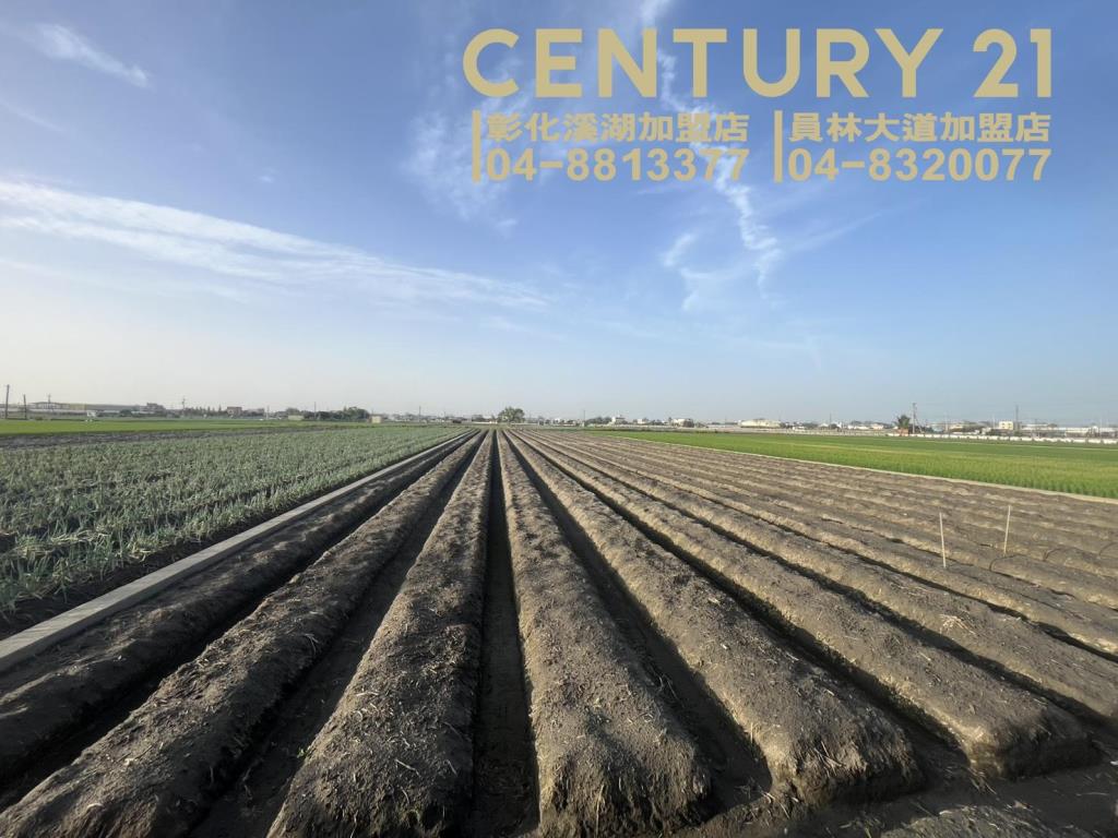 埔鹽番金路一彎美田