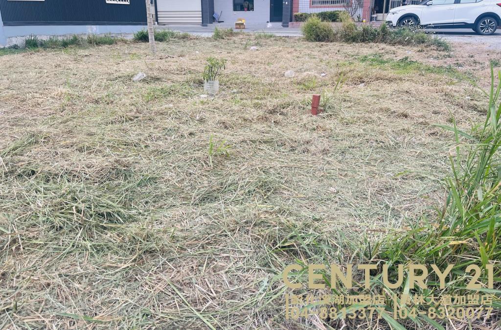 溪湖近彰水路角建地