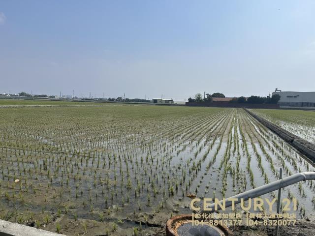 竹塘鹿寮近竹鹿路美田