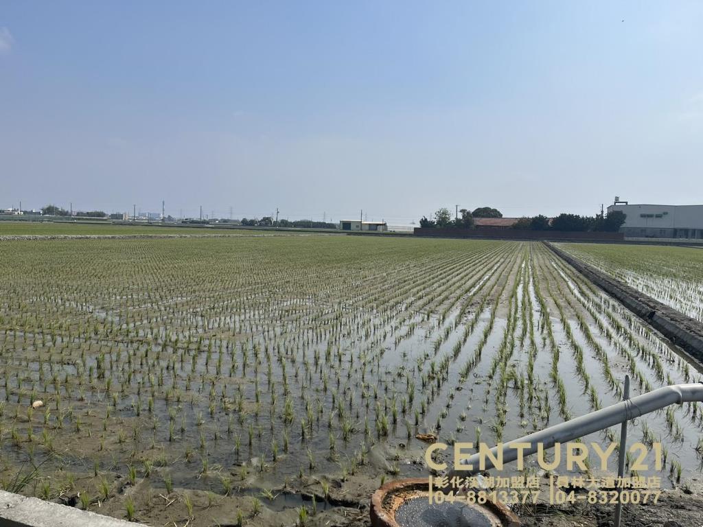 竹塘鹿寮近竹鹿路美田