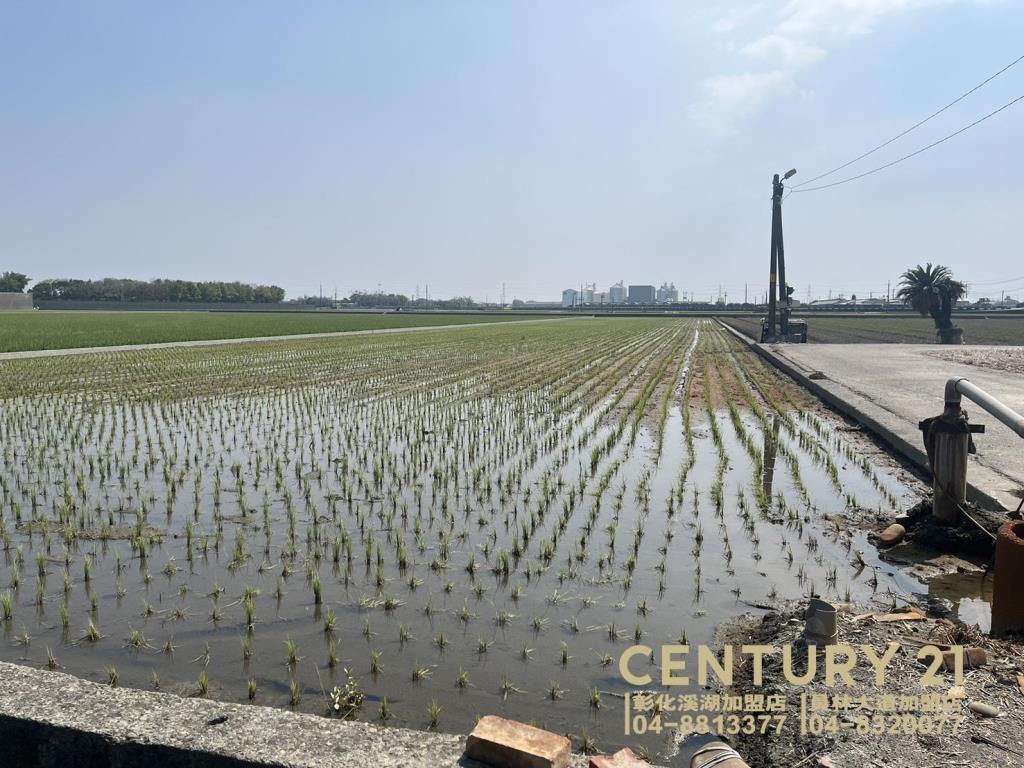竹塘鹿寮近竹鹿路美田