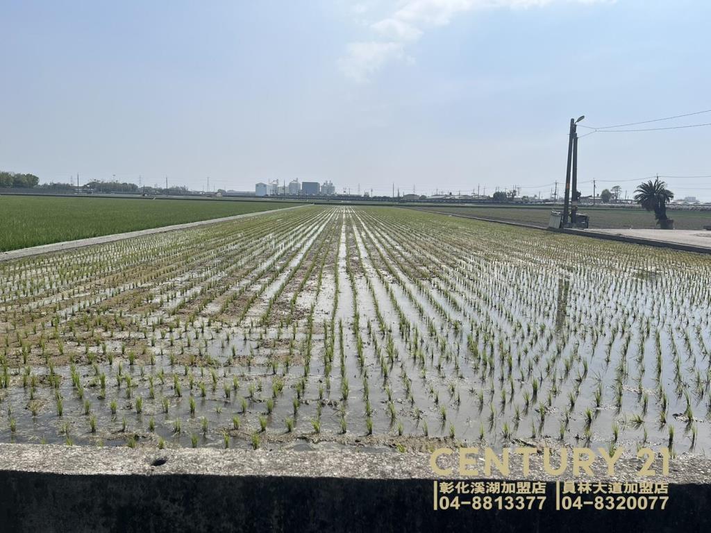 竹塘鹿寮近竹鹿路美田