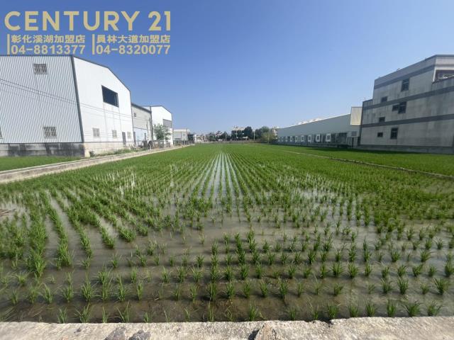 埔鹽彰水路旁美田