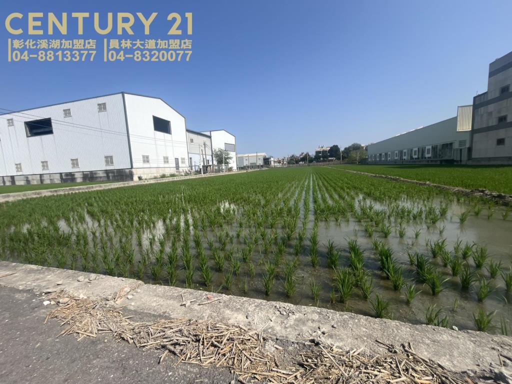 埔鹽彰水路旁美田