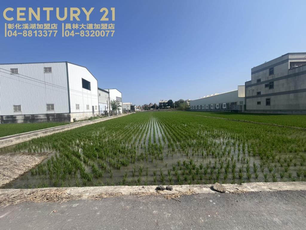 埔鹽彰水路旁美田