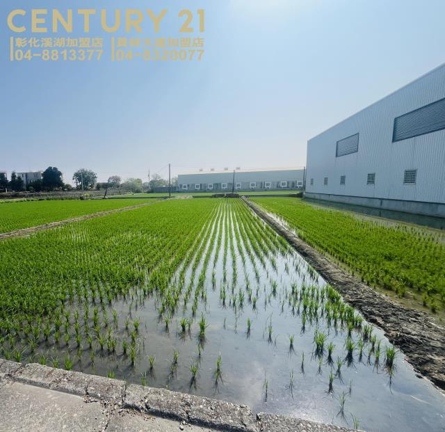 埔鹽正彰水路美田