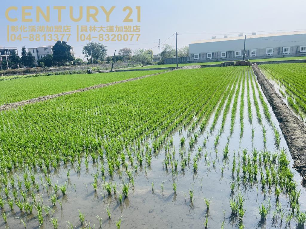 埔鹽正彰水路美田