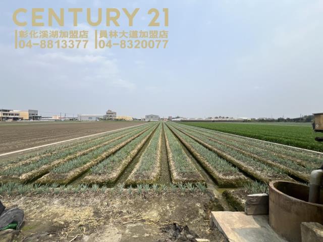 埔鹽番金路一彎農保田