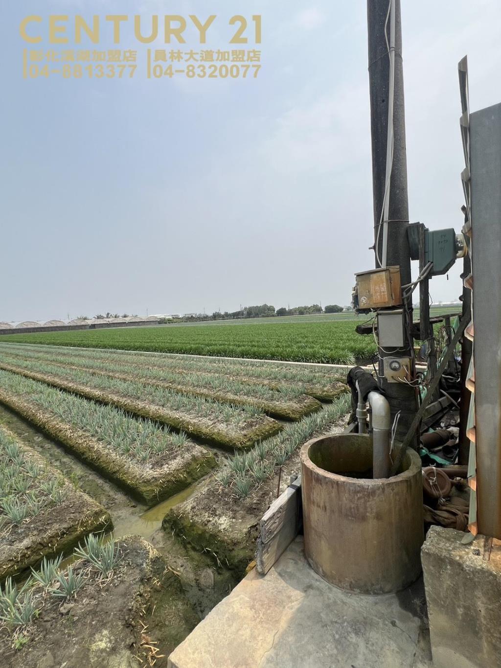 埔鹽番金路一彎農保田