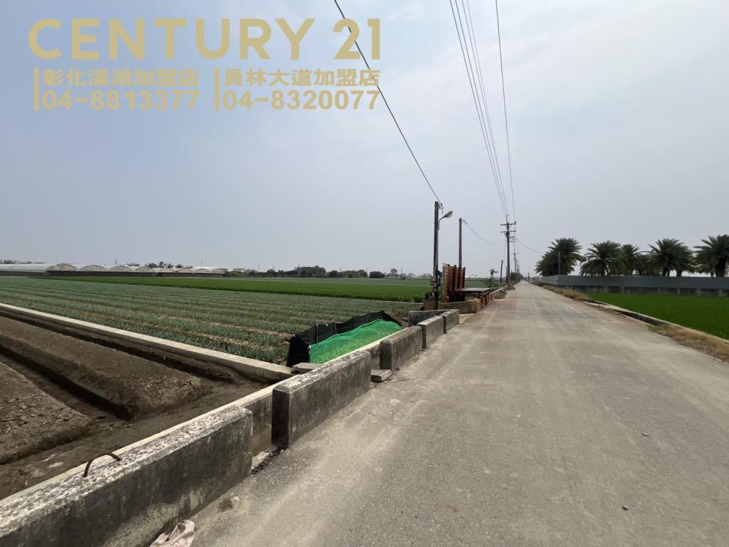 埔鹽番金路一彎農保田