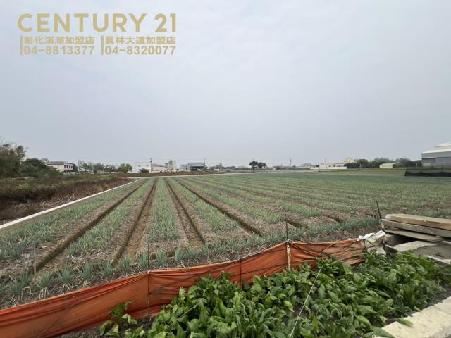 埔鹽成功一路一彎美田