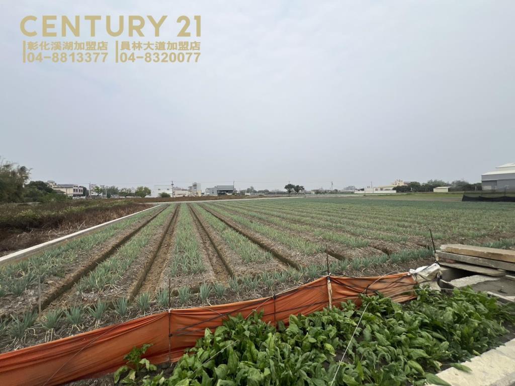 埔鹽成功一路一彎美田