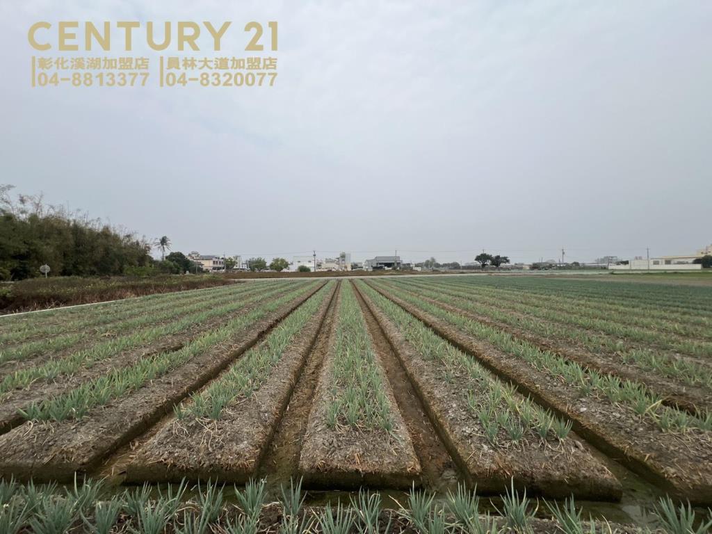 埔鹽成功一路一彎美田