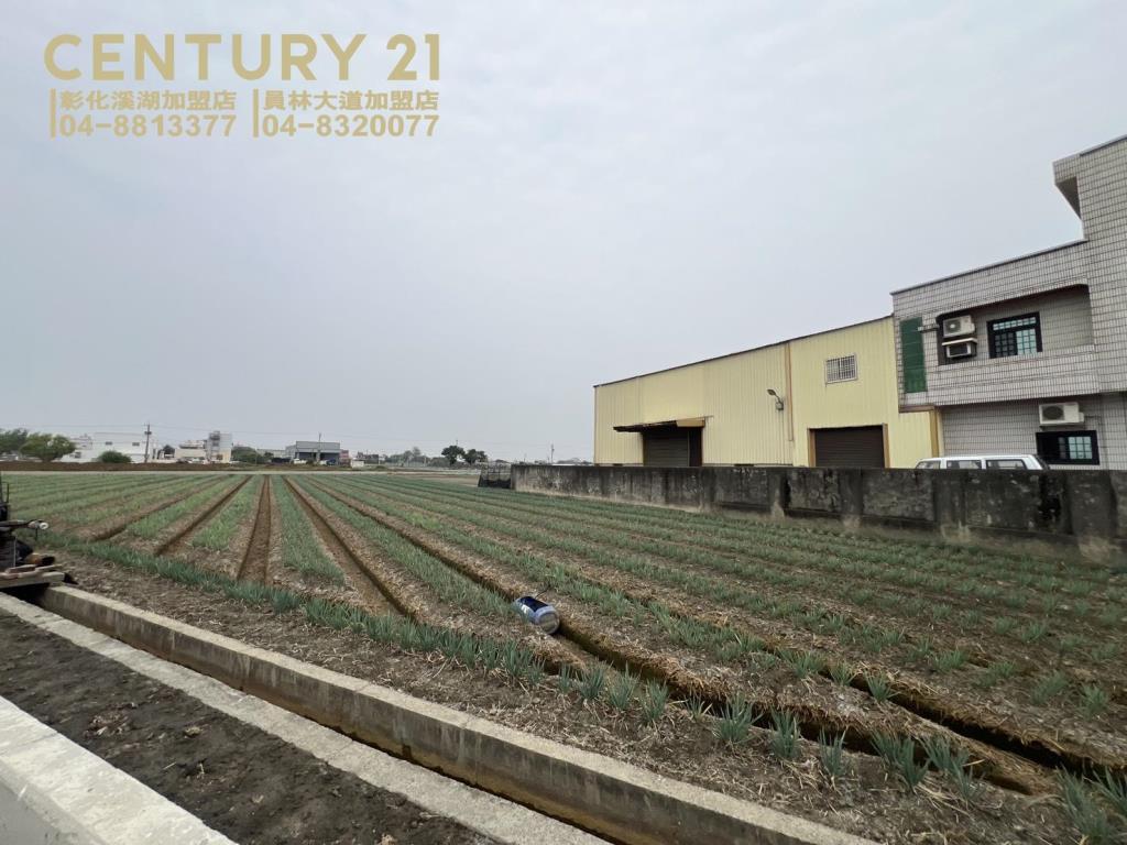 埔鹽成功一路一彎美田