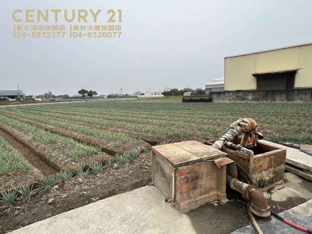 埔鹽成功一路一彎美田