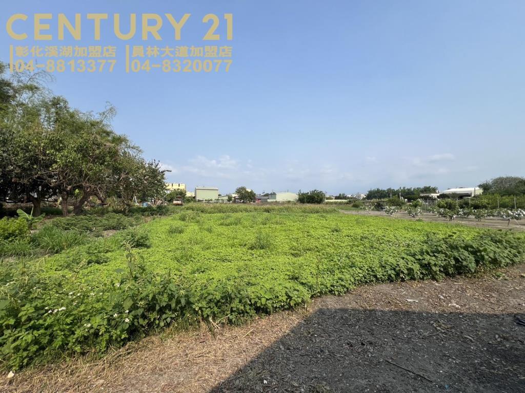 溪湖近員鹿路都內美田