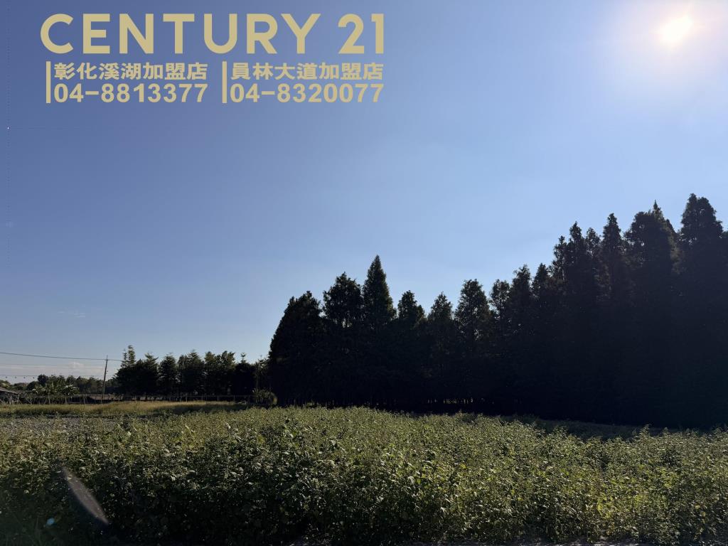 溪湖彰水路旁美田