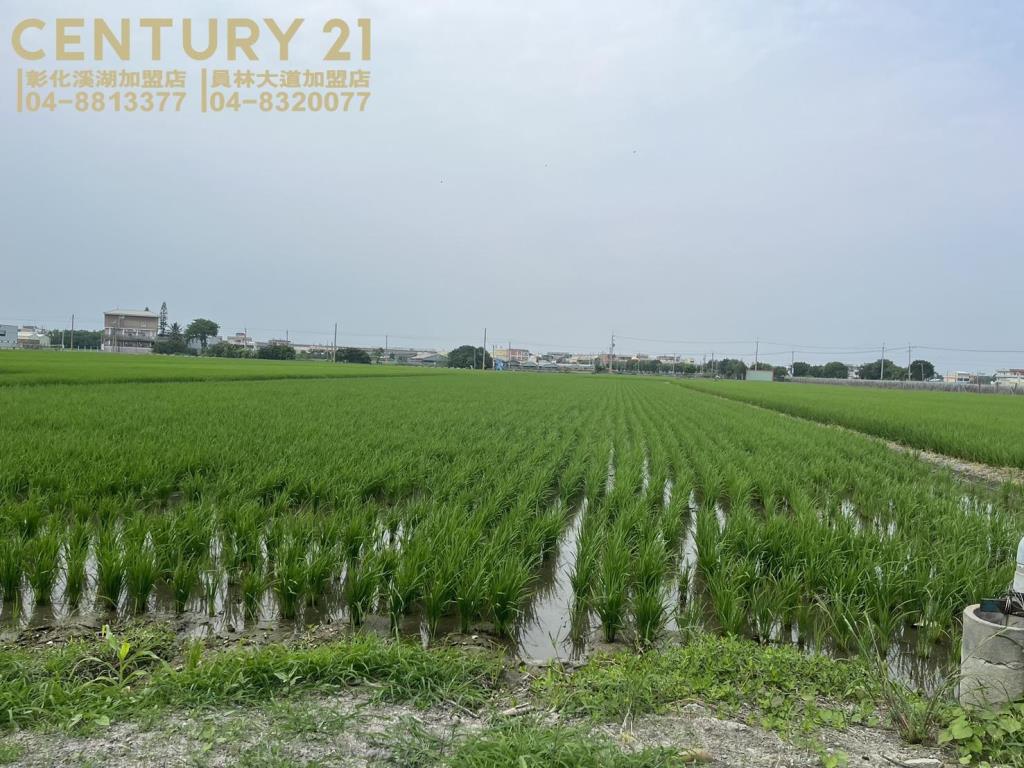 埔鹽近中山路美田(一)