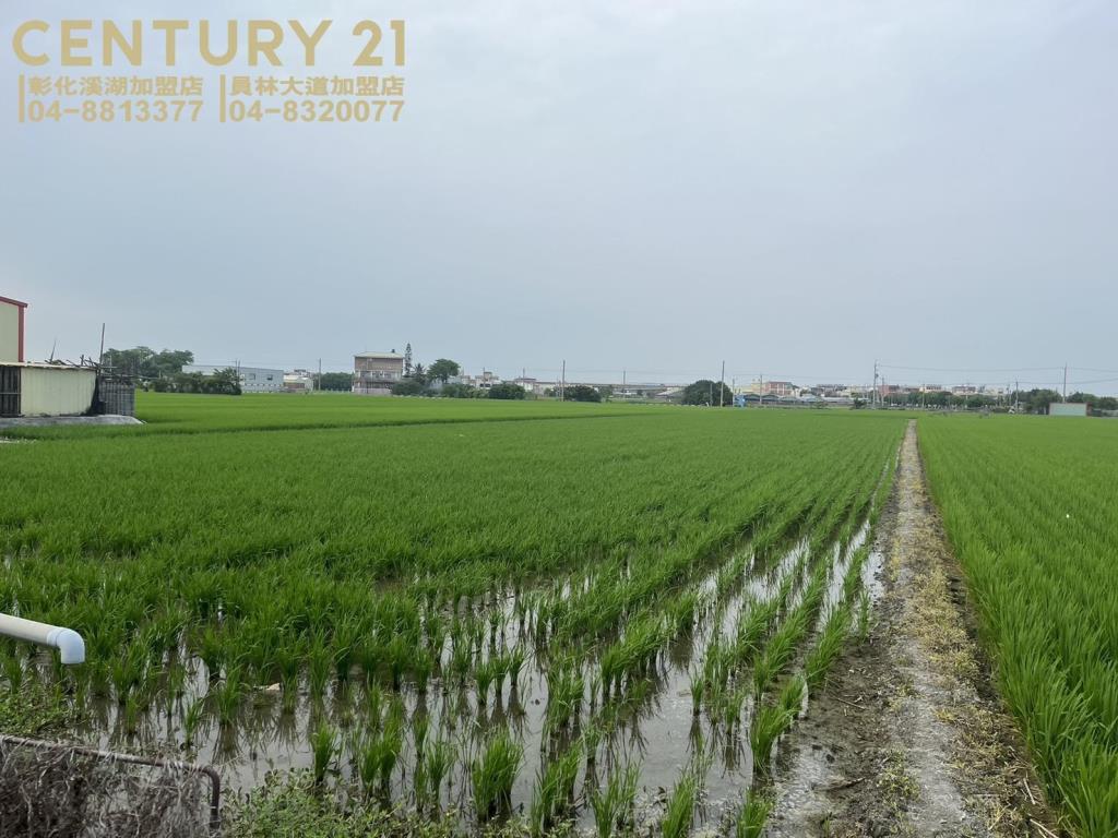 埔鹽近中山路美田(一)