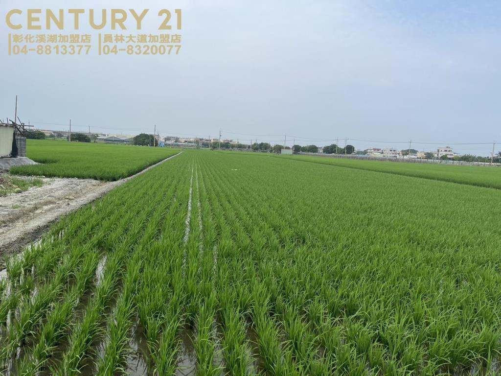 埔鹽近中山路美田(一)