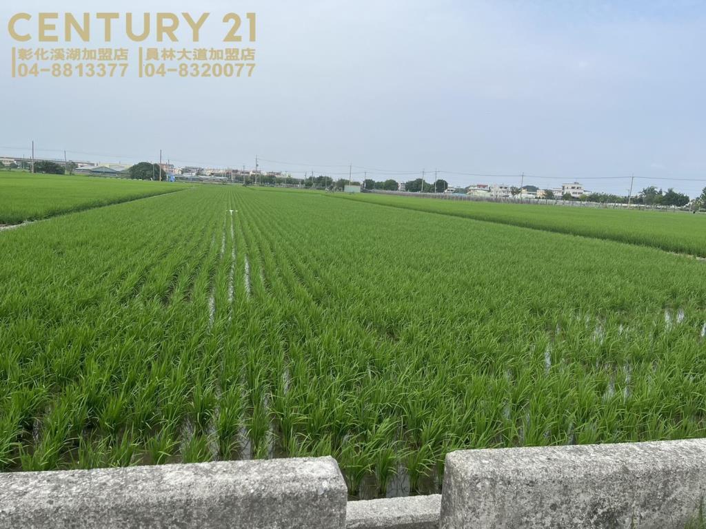 埔鹽近中山路美田(一)